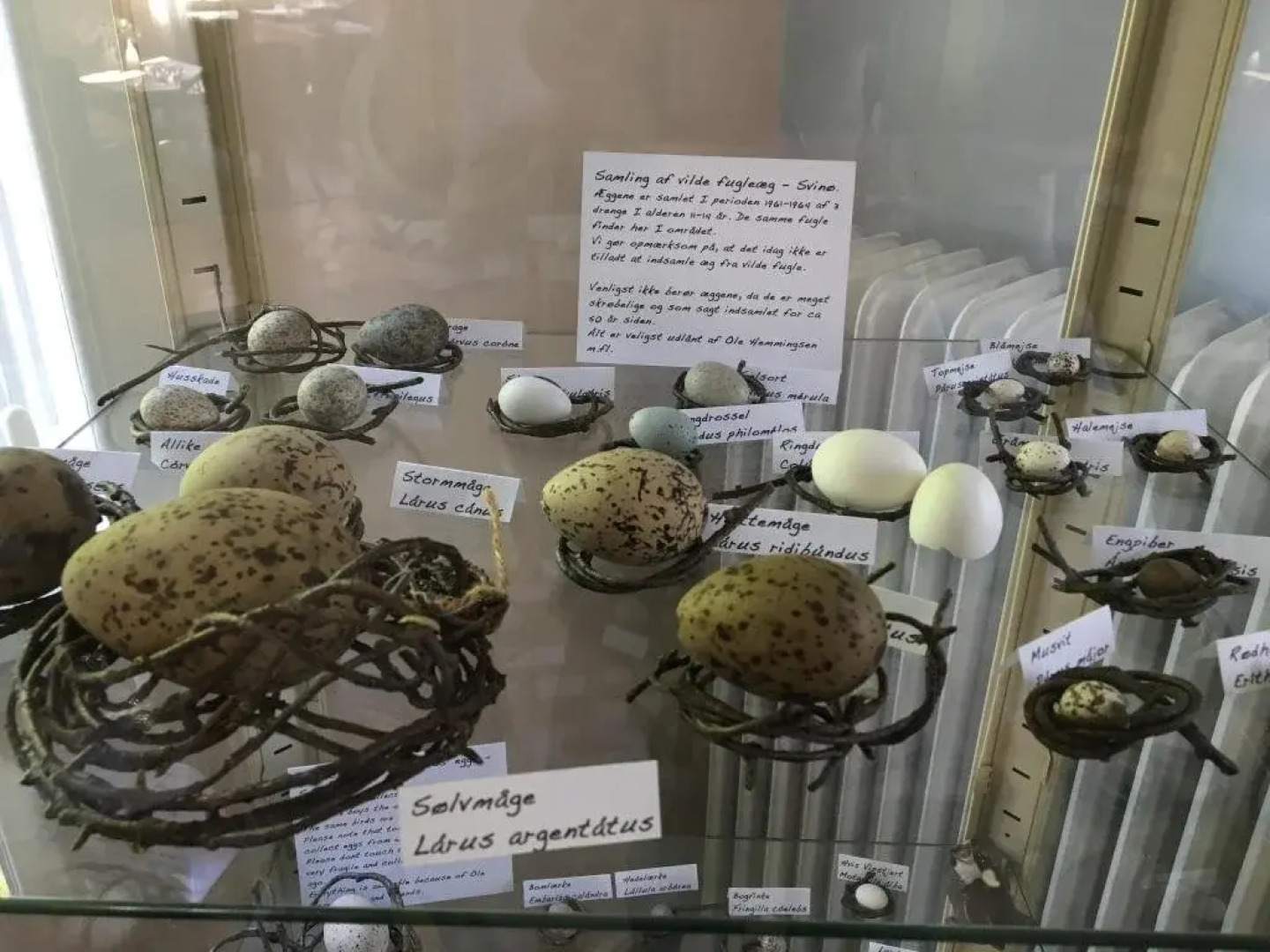 Møn Hostel & Vandrehjem