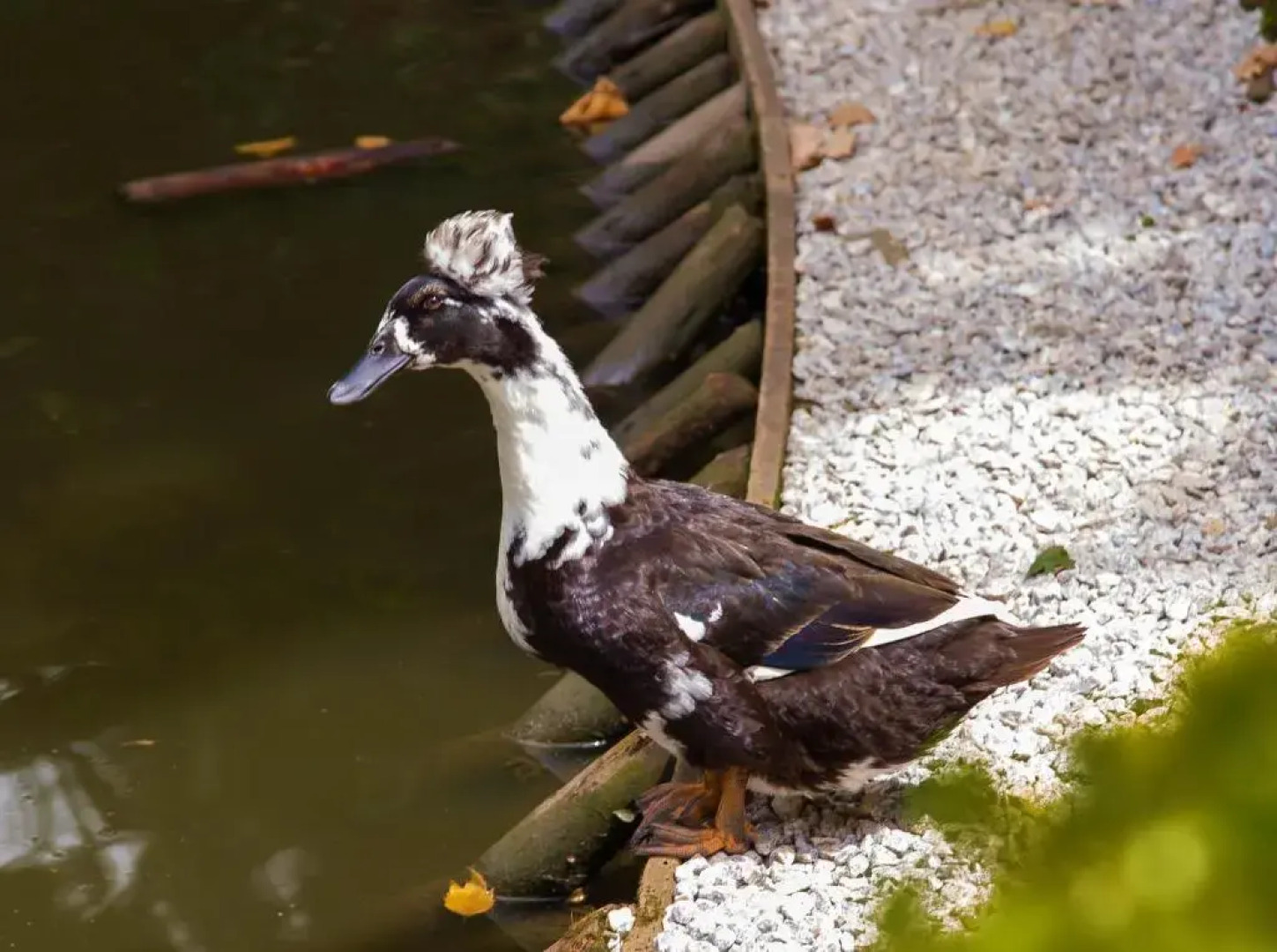 Pousada Campos dos Holandeses