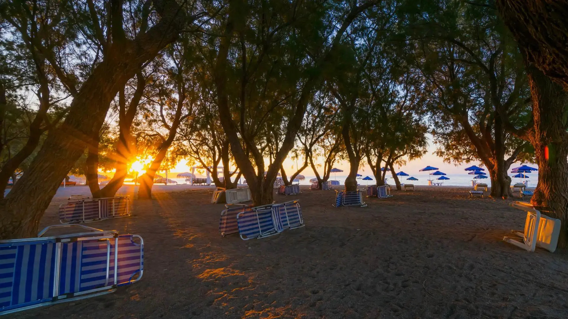 Stafilia Beach Hotel