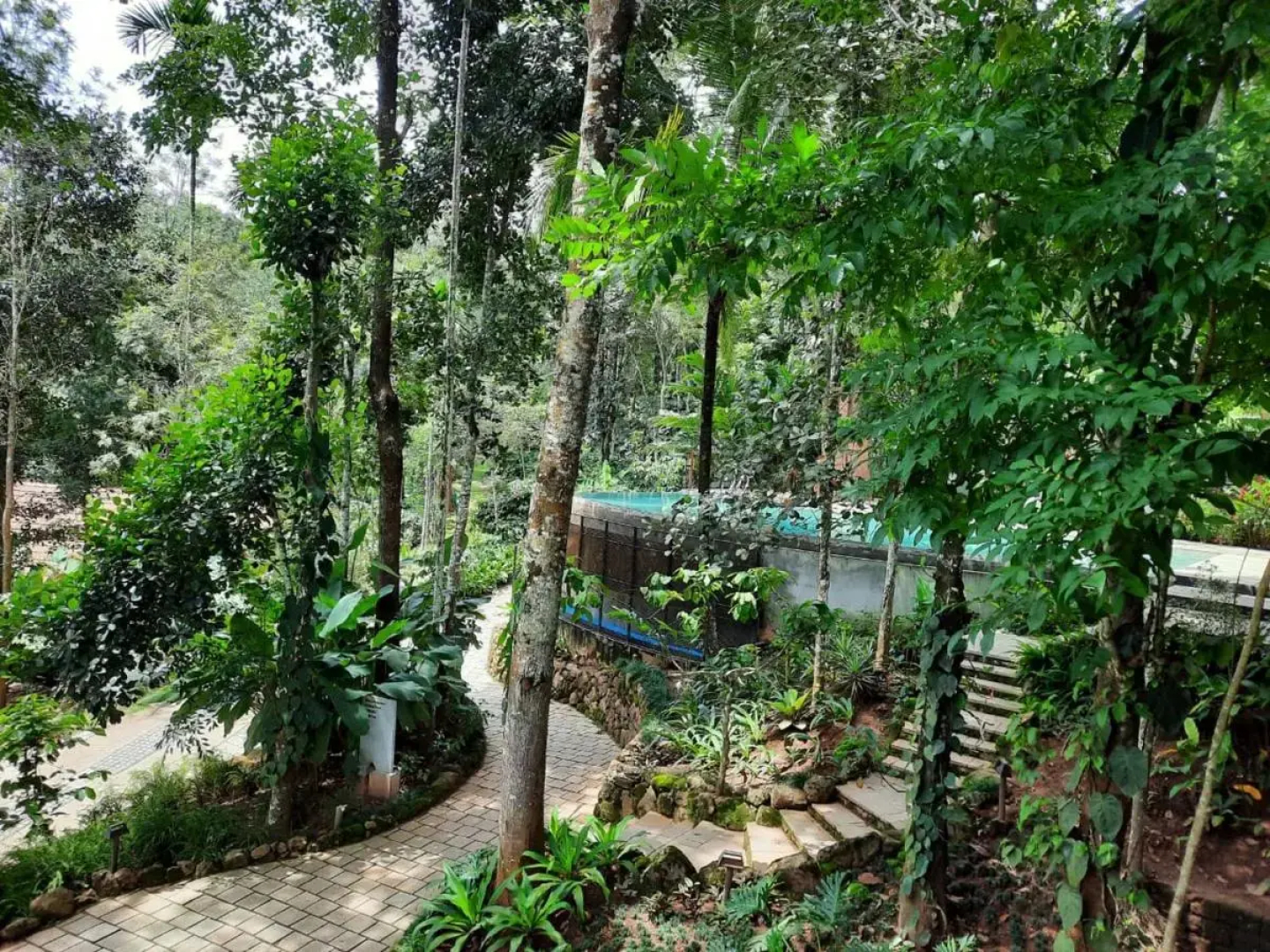 The Willow Resorts