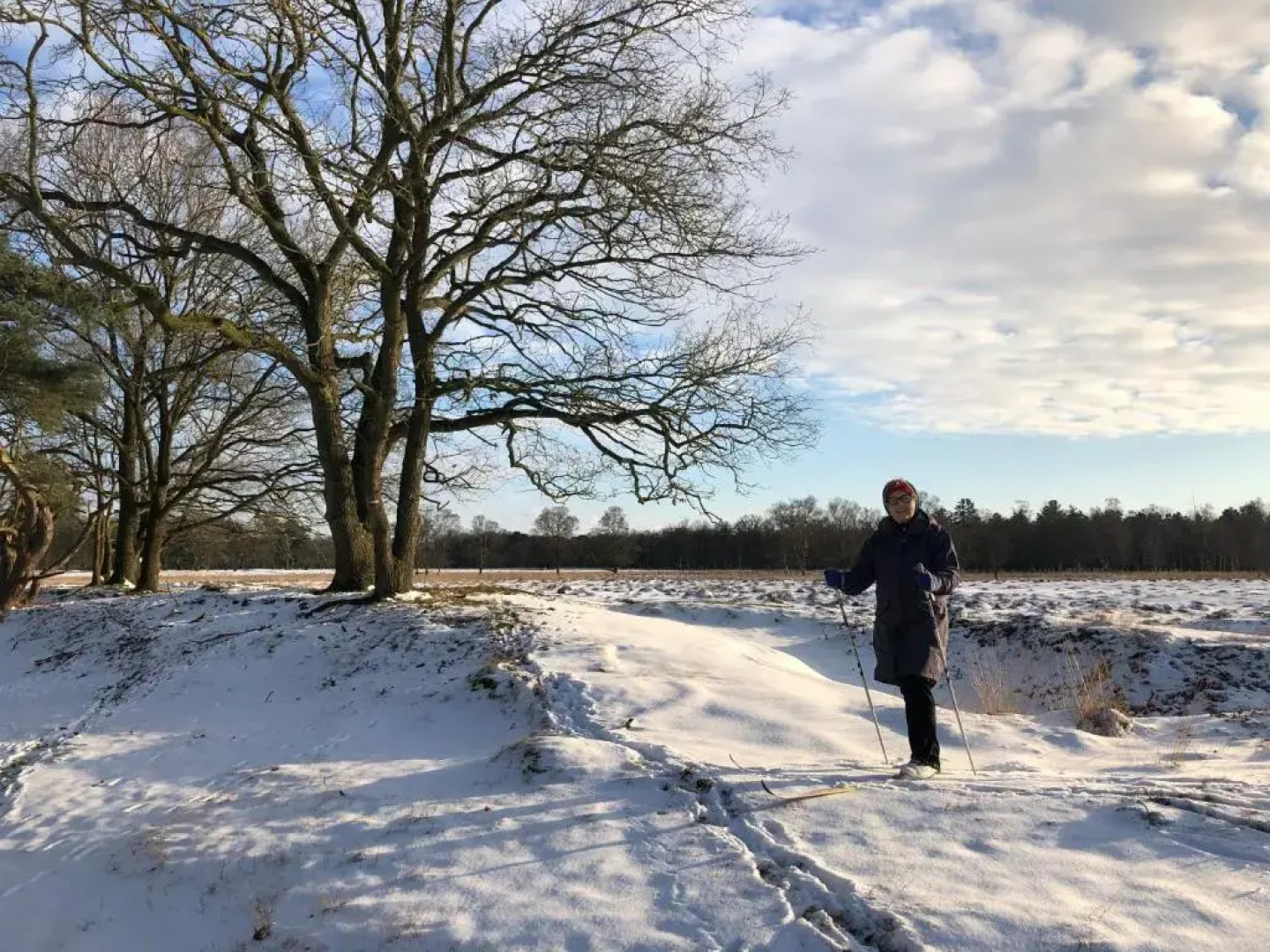 Bed & Breakfast Ter Borg