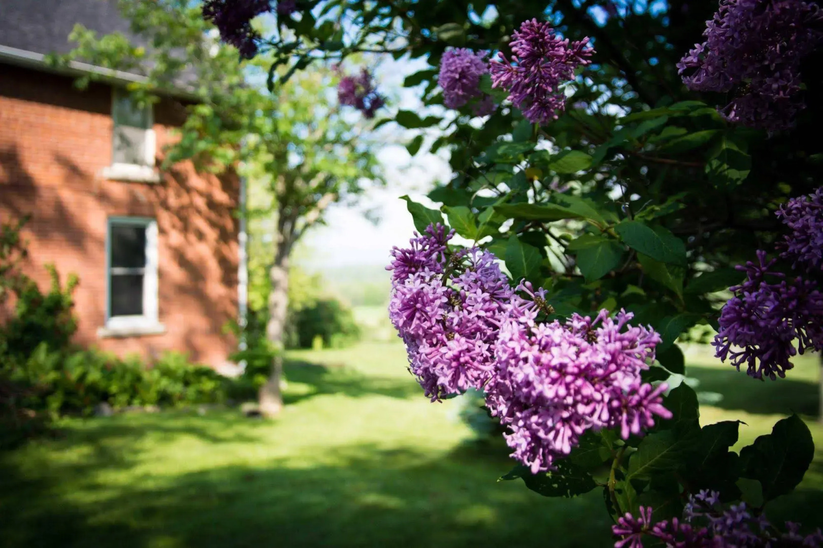 Laura's Bed & Breakfast