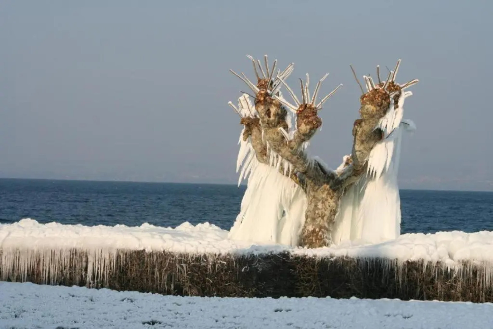 Entre Alpes Et Leman