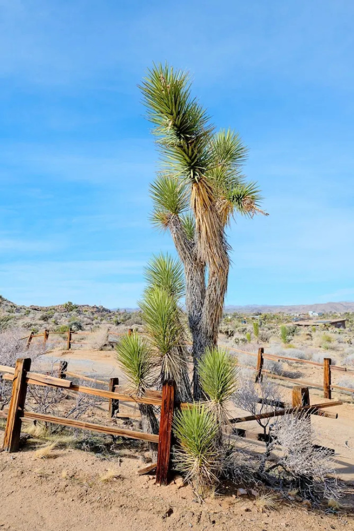 Classic 1960s Cottage on 10 Acres With Jacuzzi!