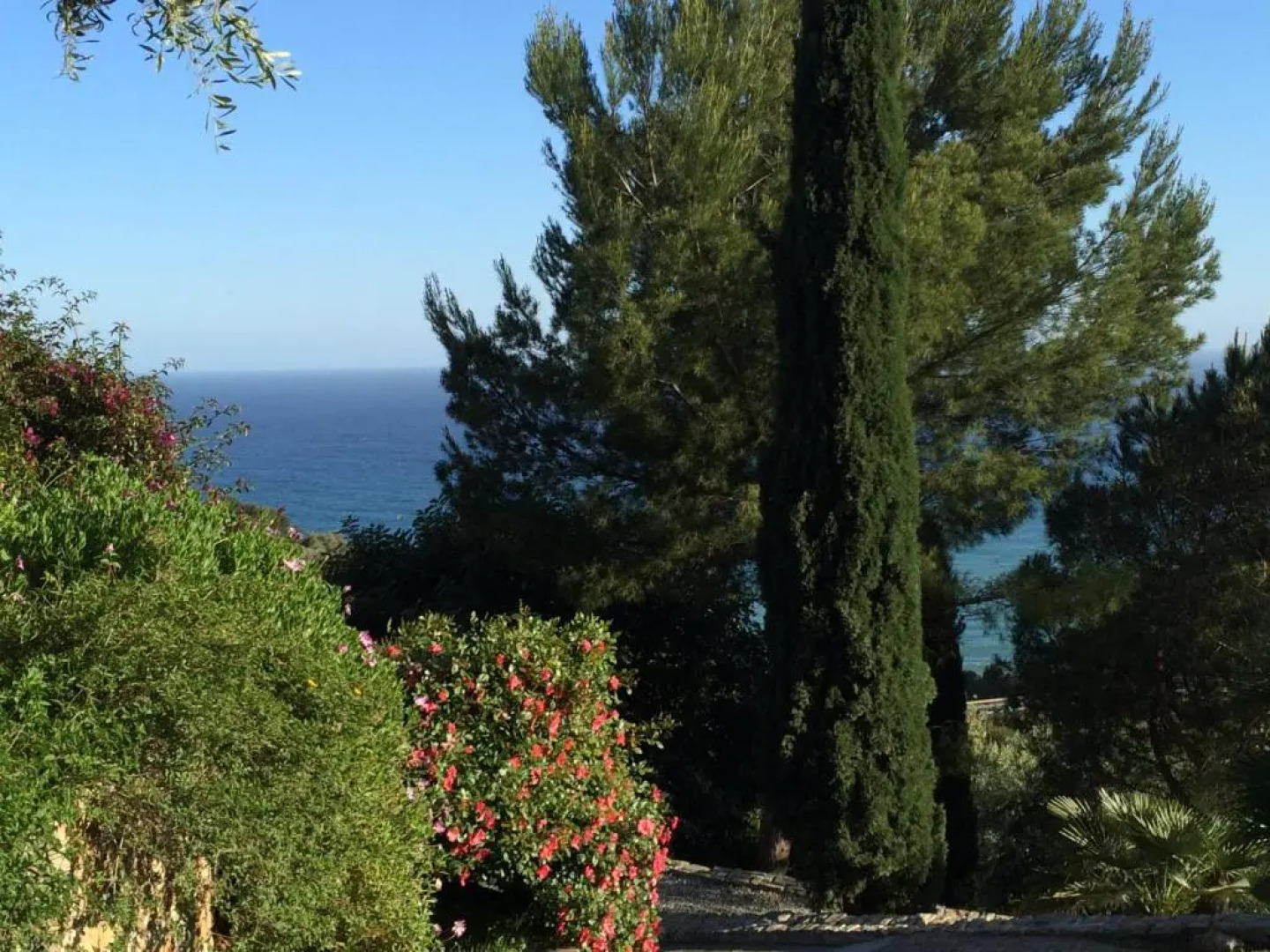 Agriturismo Uliveto Saglietto