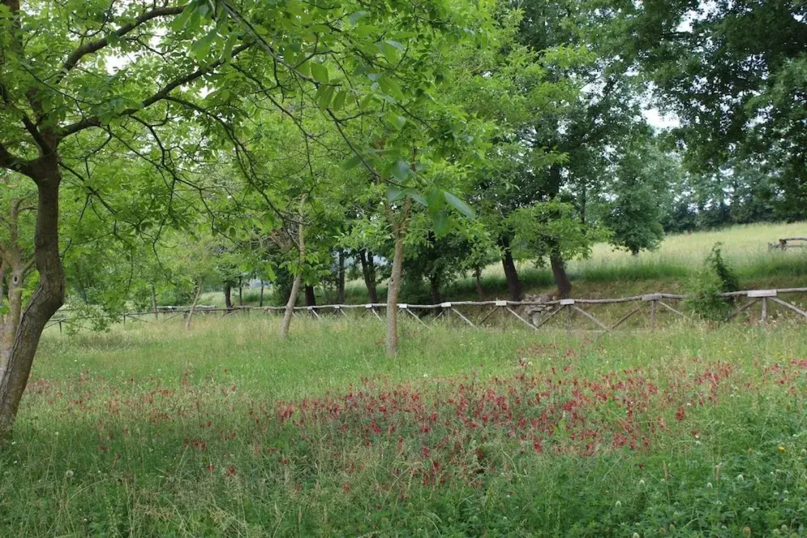 Agriturismo la Fattoria Pony Ranch