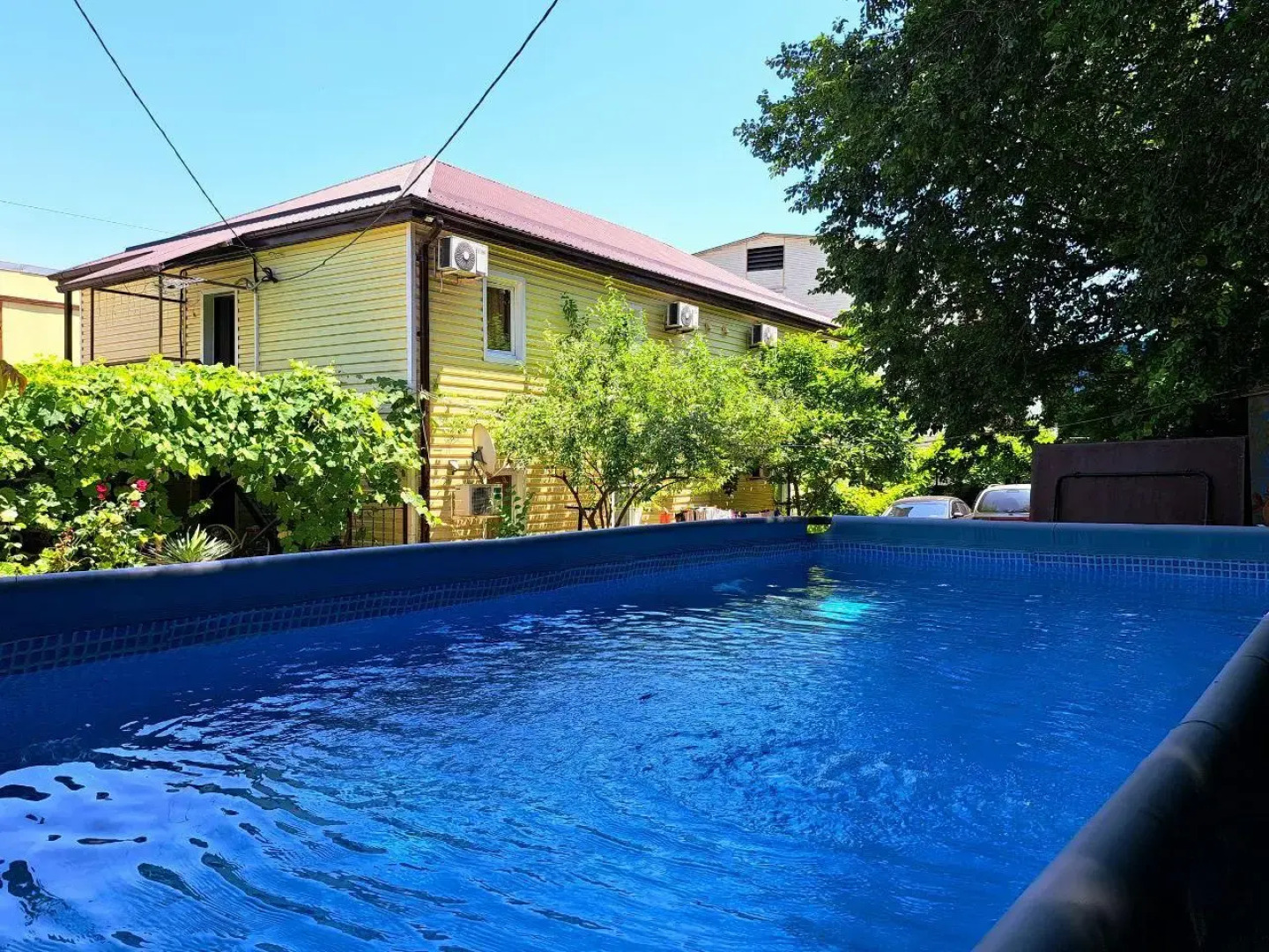 Черноморская лоза