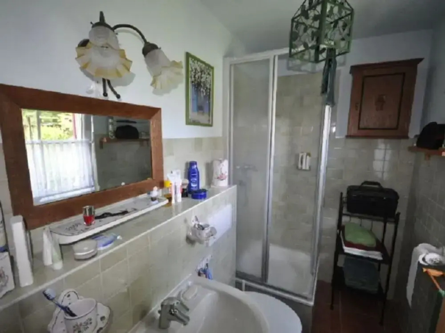 Red-throated Diver Modern Retreat