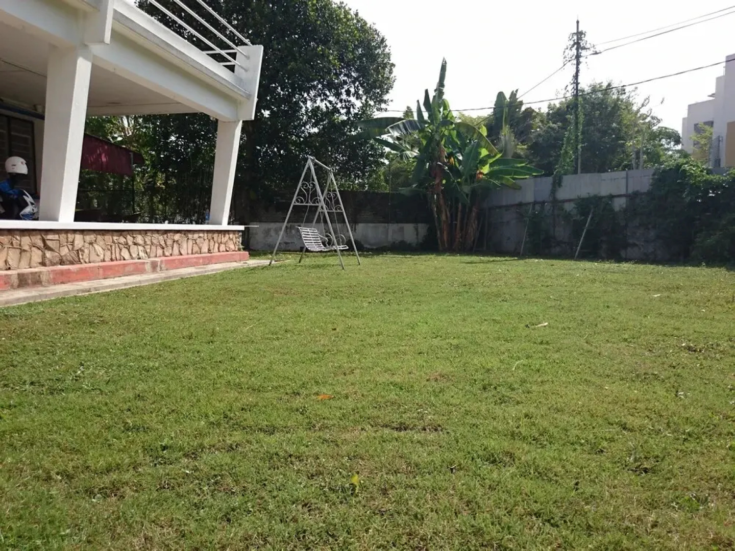 Sea Lion by the Beach