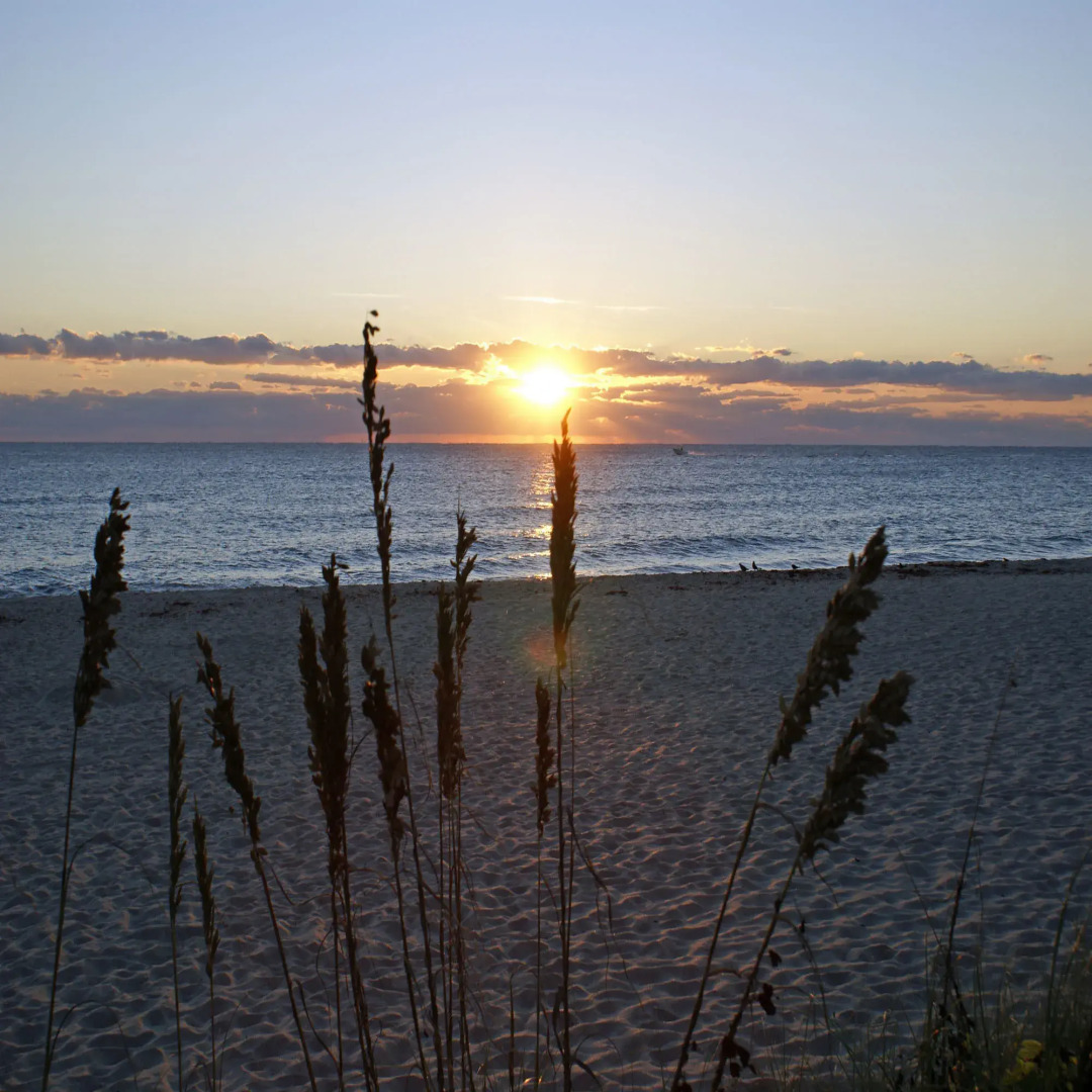 Sabal Palm House Bed & Breakfast