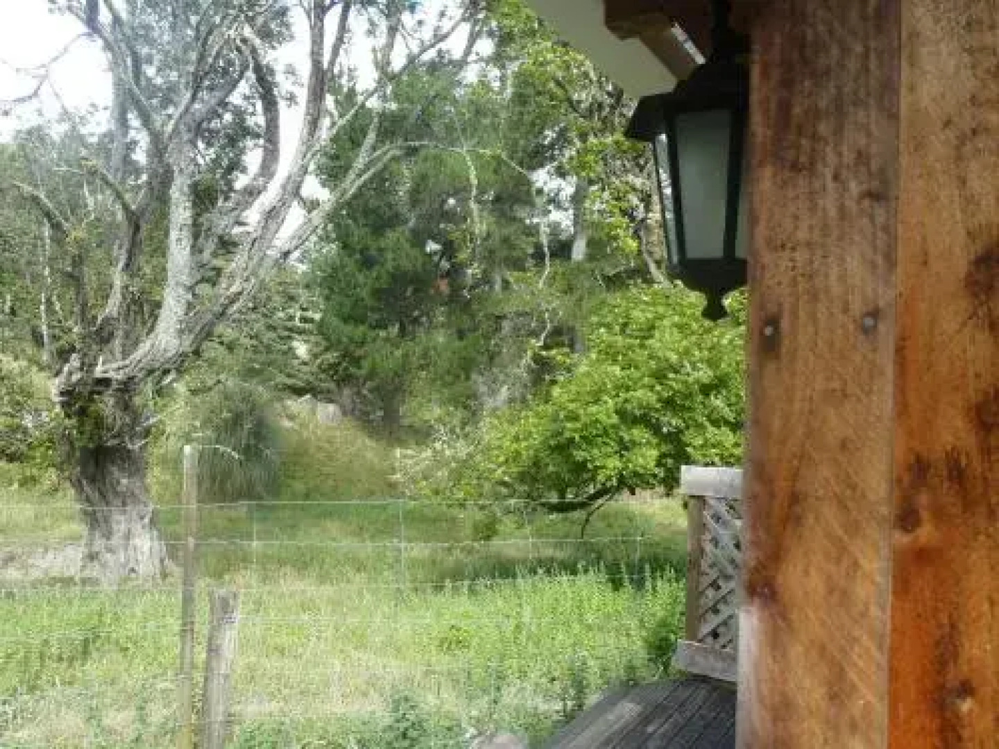 Blackberry Hill Farm