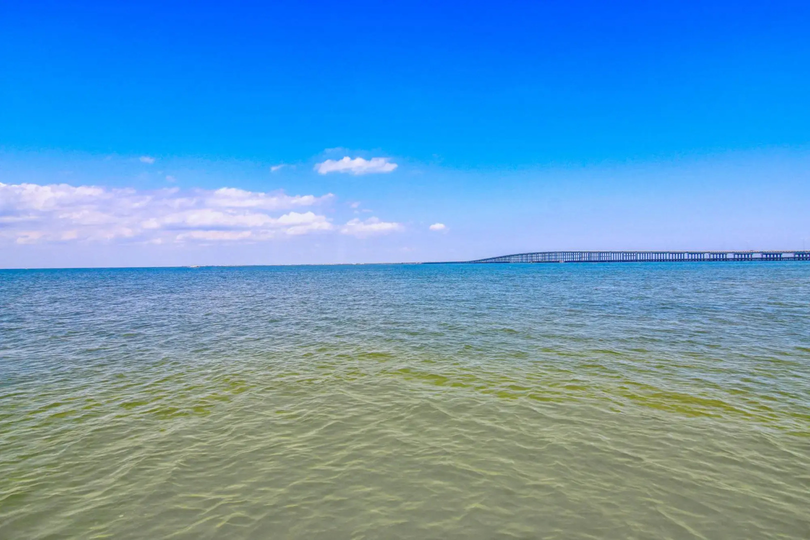 Simons Town     6031RPC