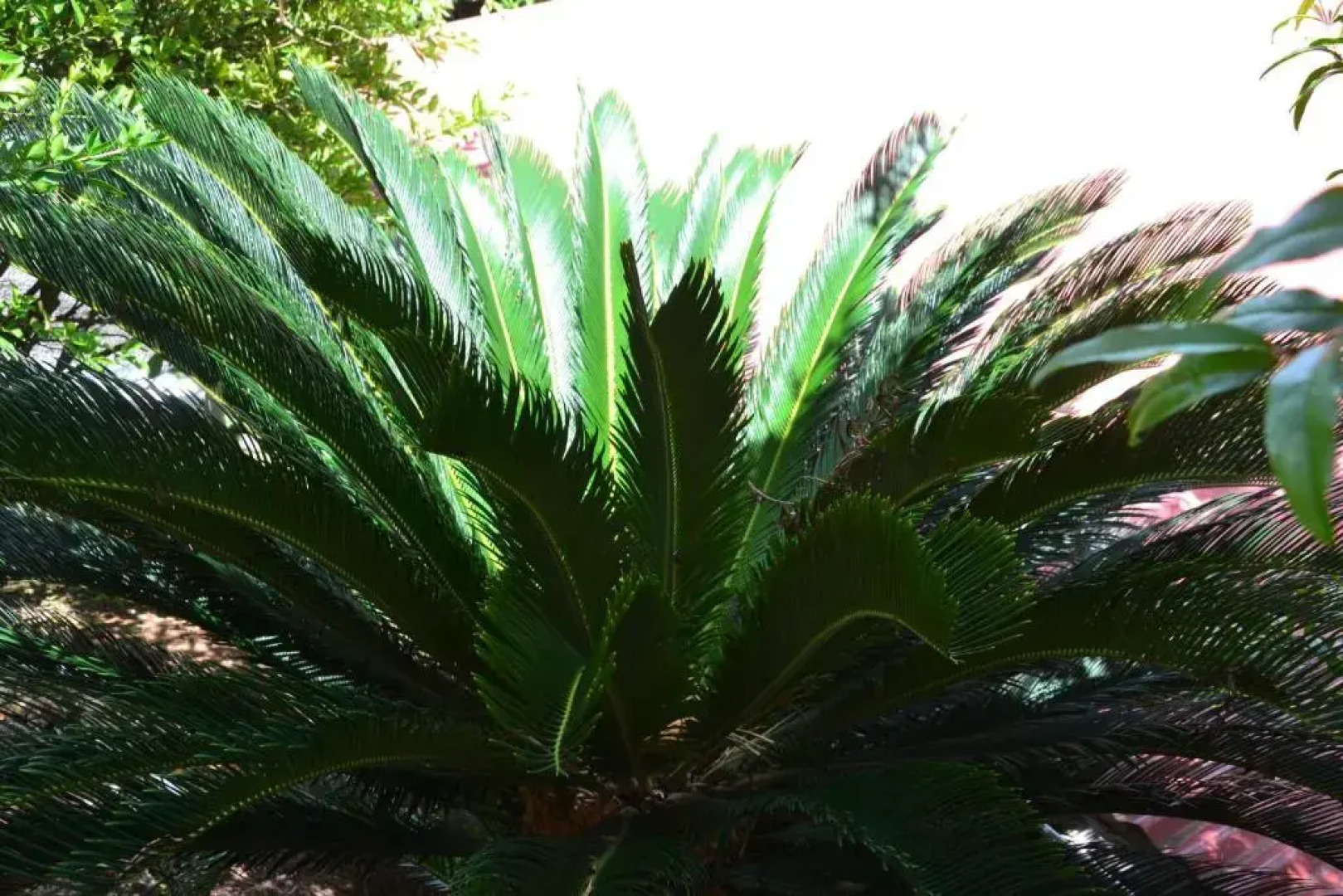 Villa BONHEUR & Co _ Spa