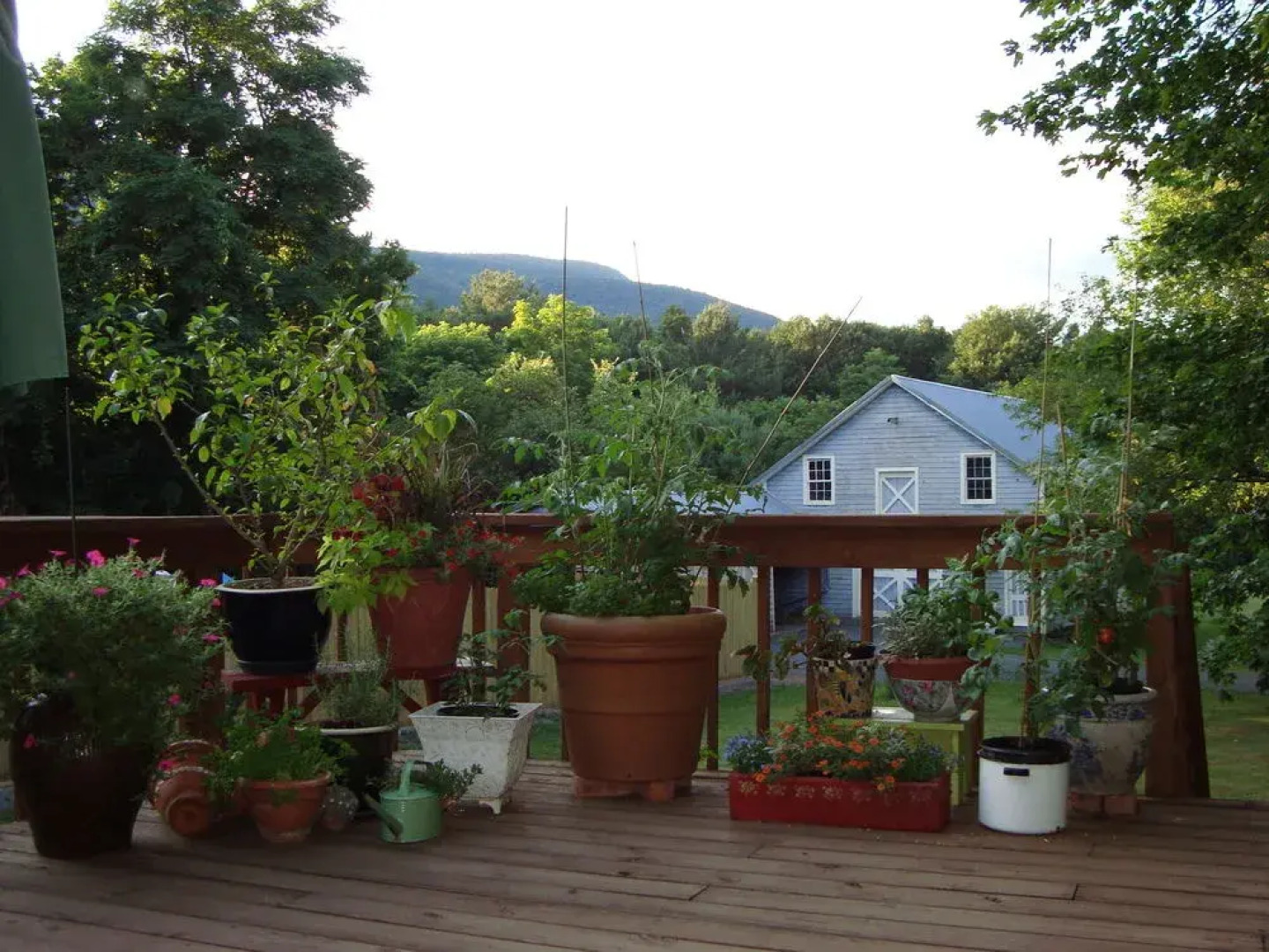 The Clark House Bed and Breakfast