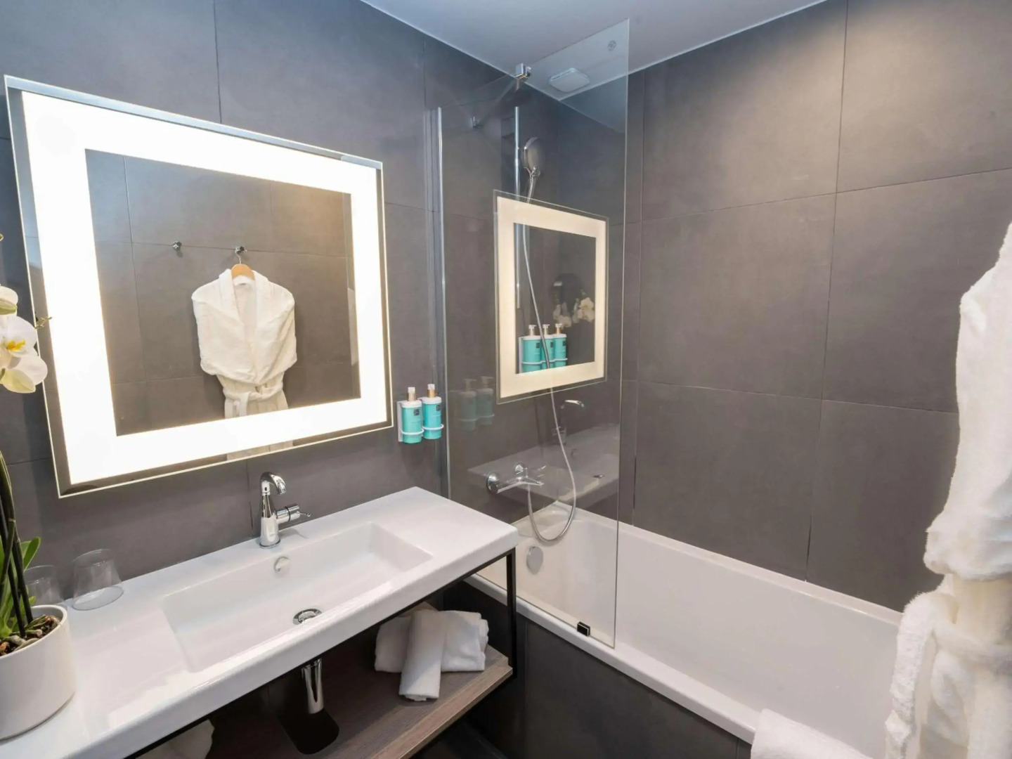 Novotel Angers Lac de Maine