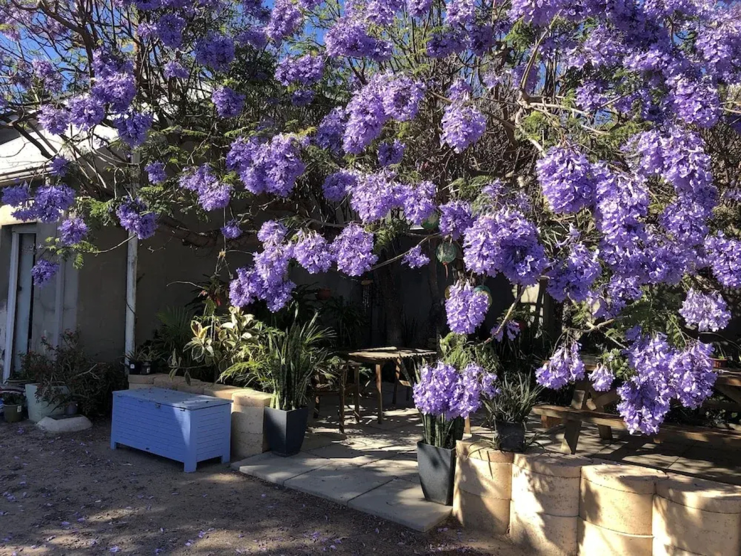 Geraldton Backpackers