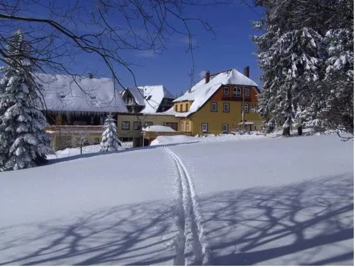 Hotel Schwarzwald Kniebis