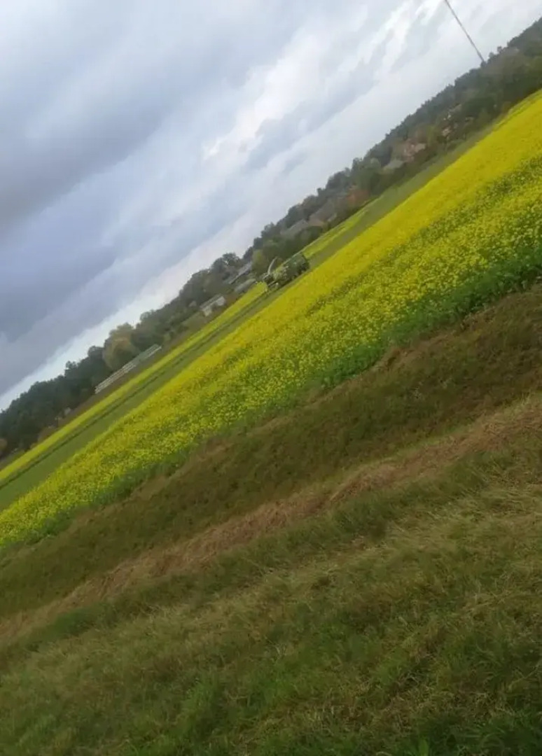 \"the Elf\" Comfortable Holiday Residence