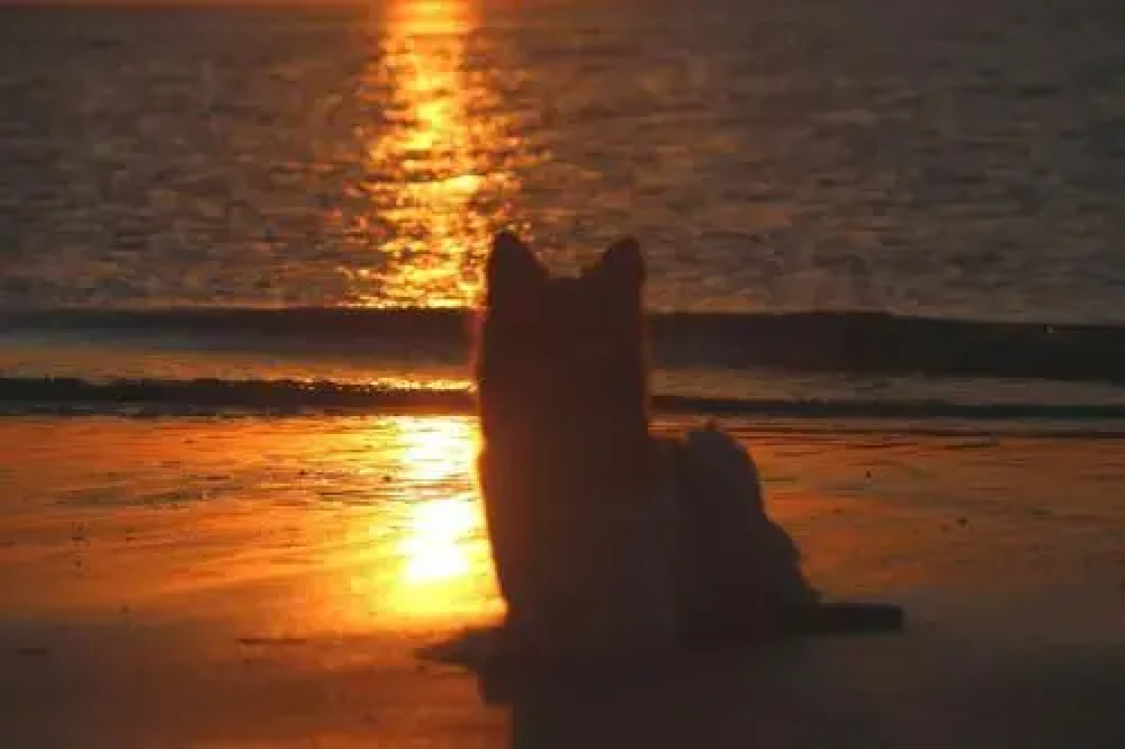 Doggersbank 15 - Noordzeepark Ouddorp - not for companies