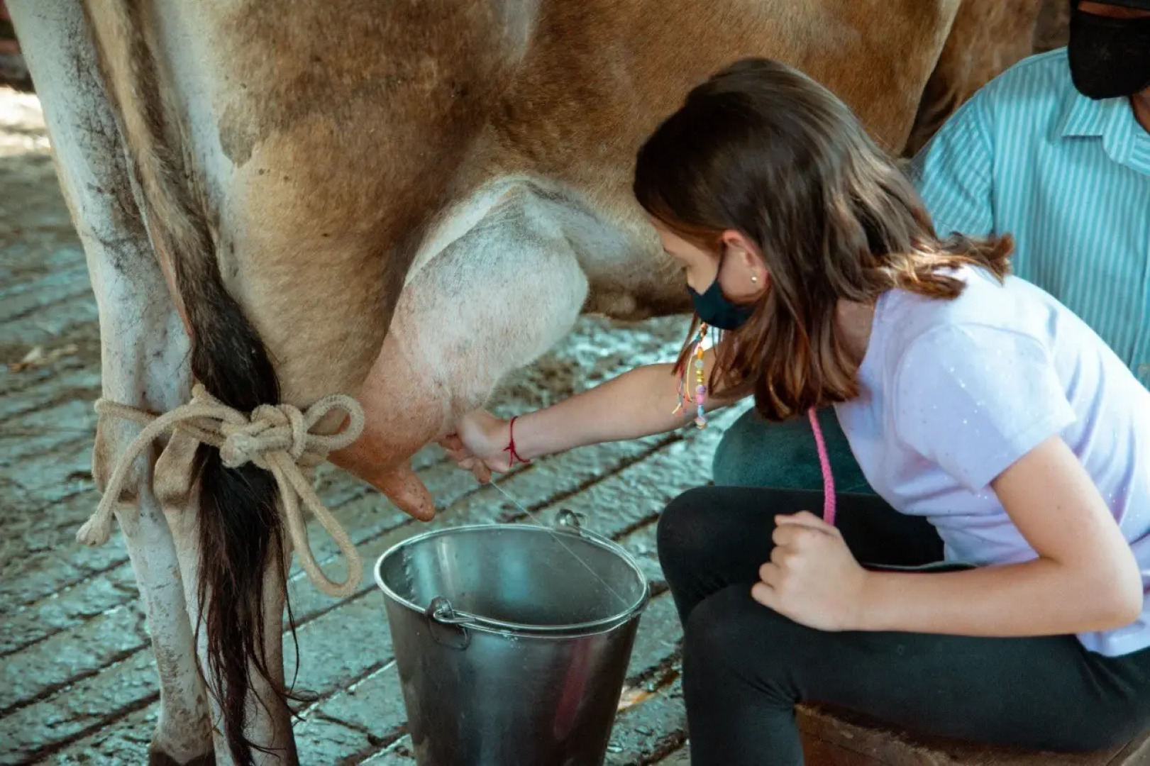 Hotel Fazenda Fonte Colina Verde