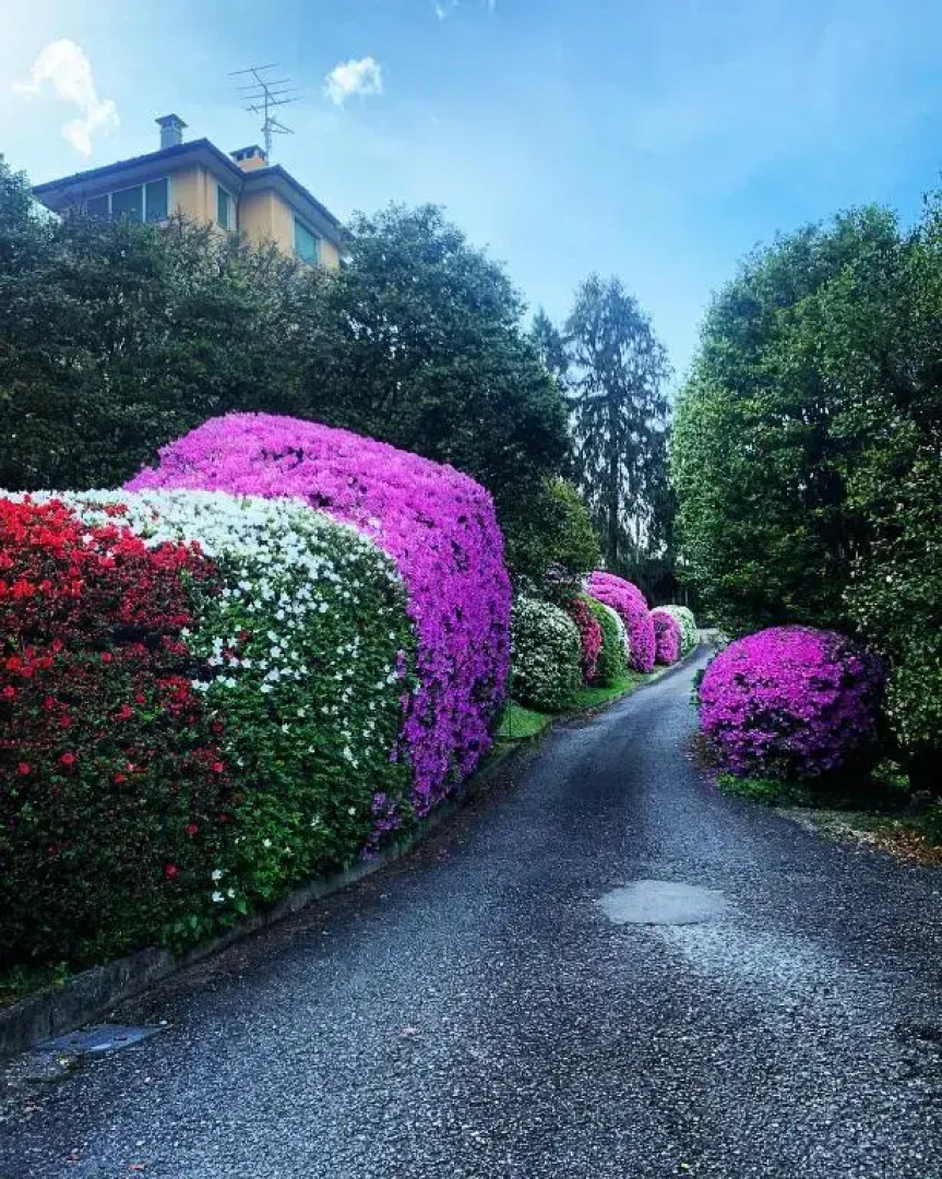 La mia casa sul lago con vista mozzafiato