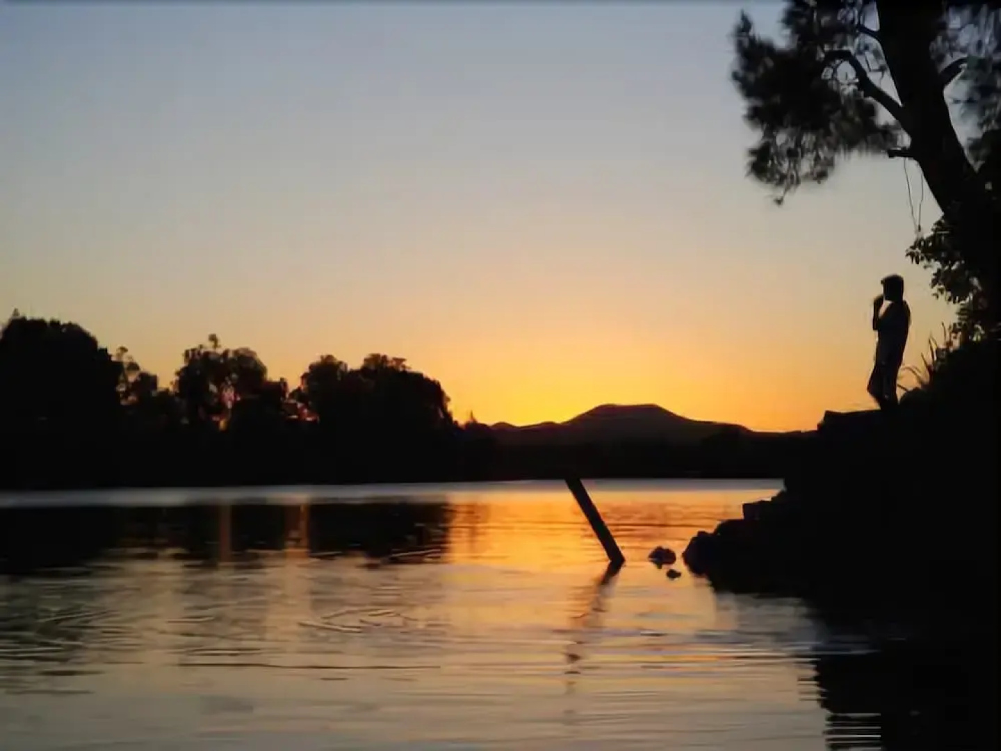 Bellinger River Tourist Park