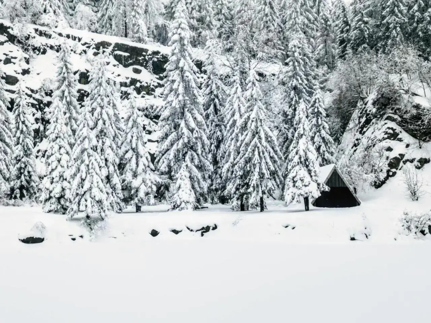 Urlaub im Blockhaus in der UNESCO-Region Thüringen