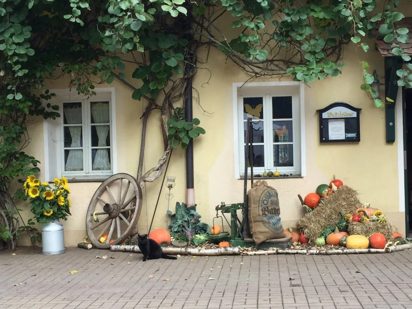 Landpension Schmererhof