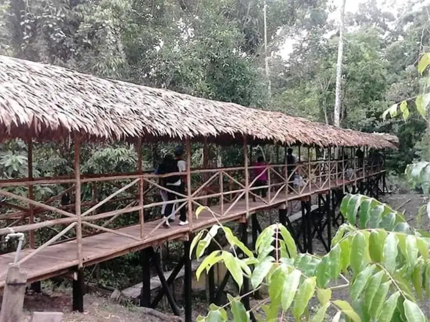 Wimba Expeditions