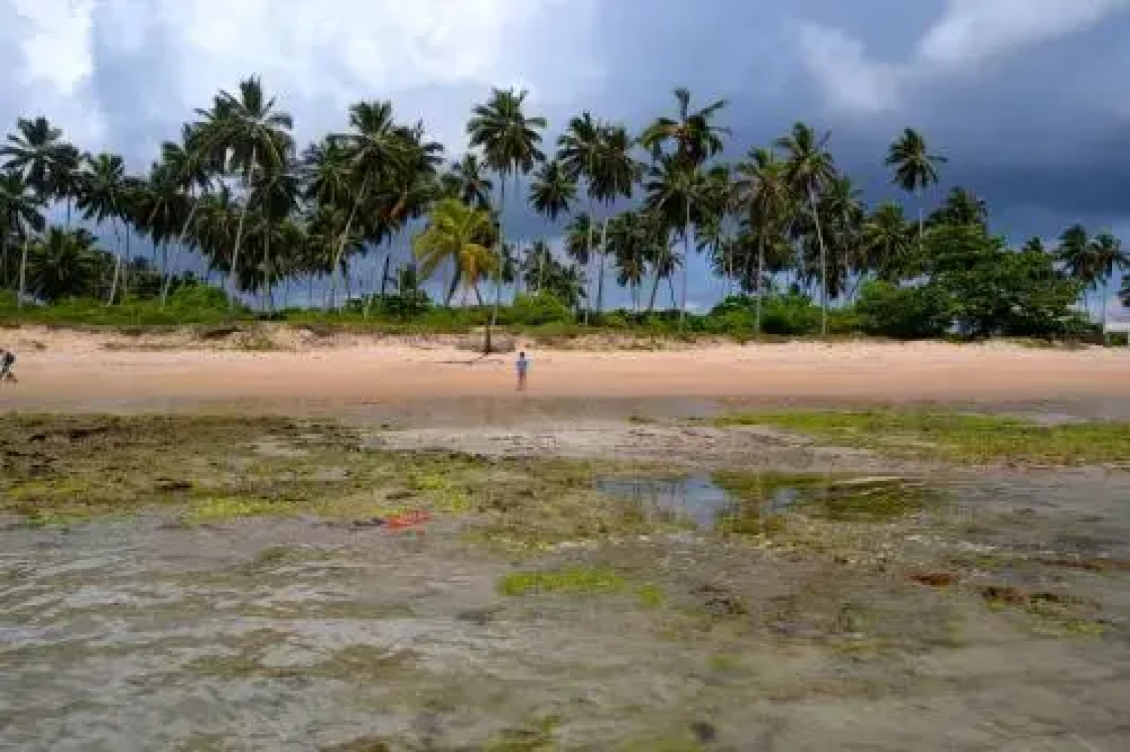 Alma Tropical Resort