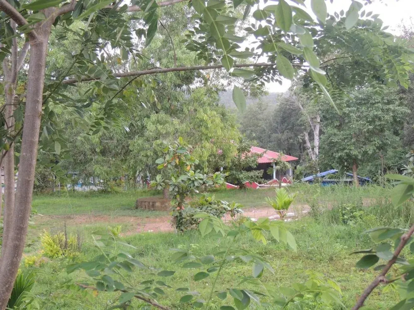 Jungle Nest Homestay