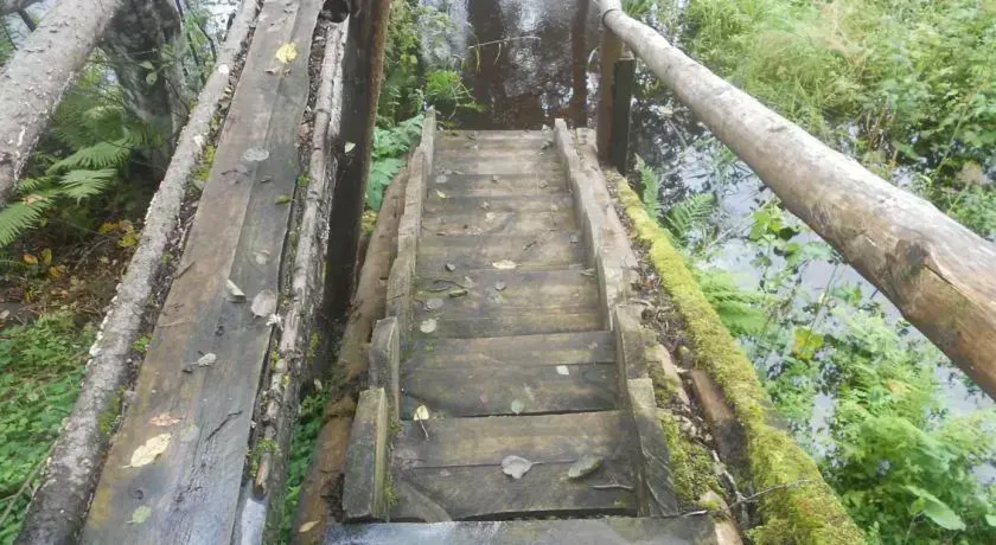 Mustjõe Tourism farm