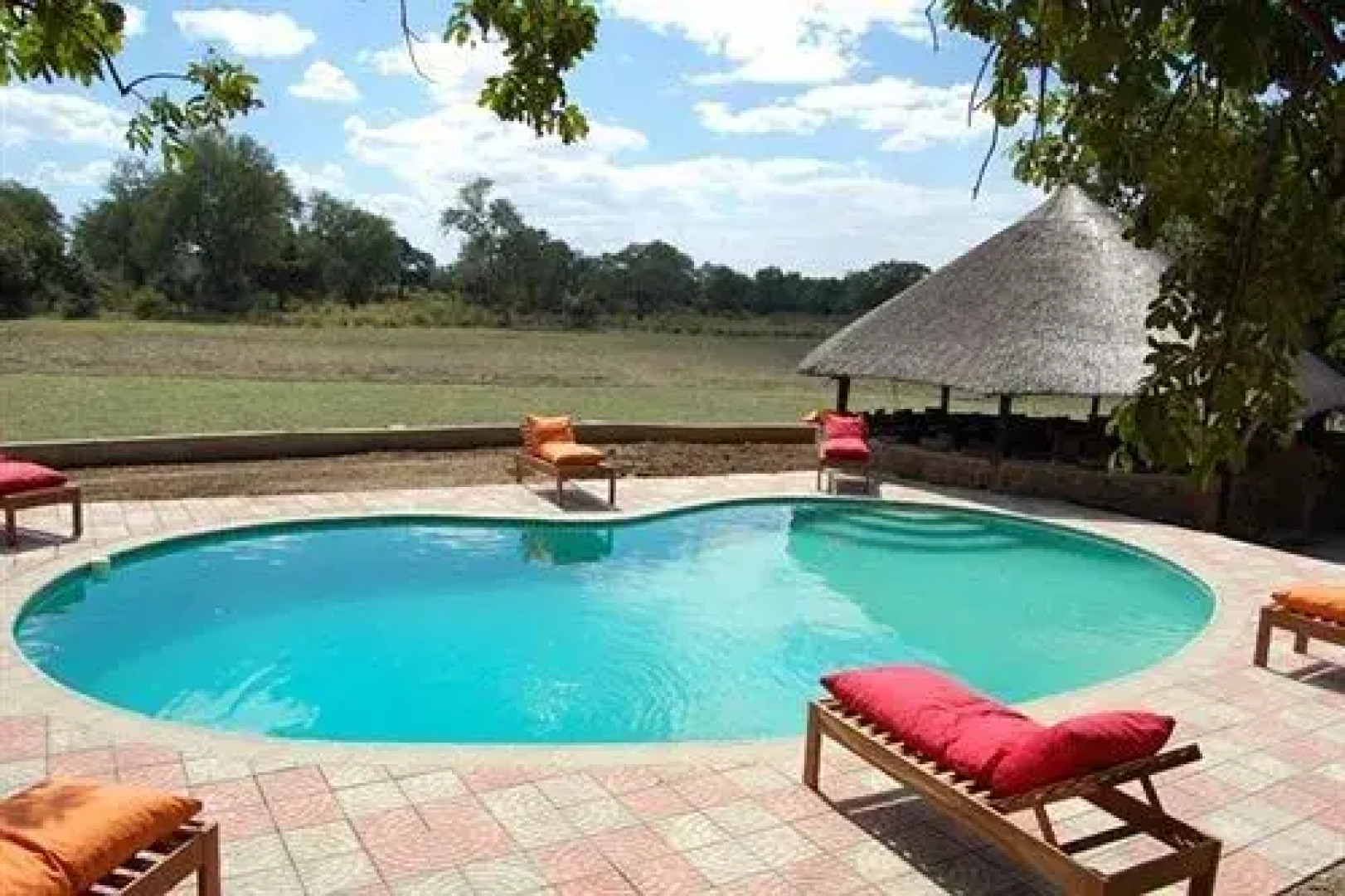 Three Cities Mushroom Lodge