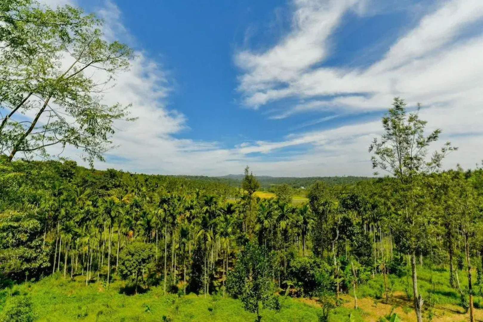 OYO 24016 Home Valley View 2BHK Sulthan Bathery