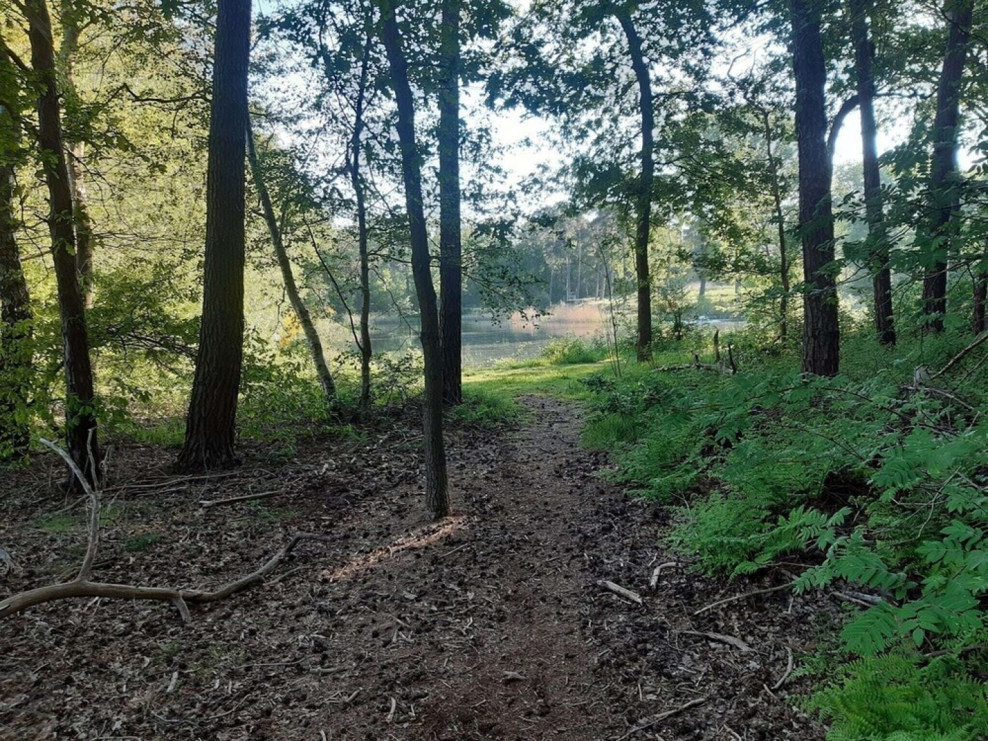 Holiday home in a rural location in Vessem, North Brabant, with sauna and hot tub