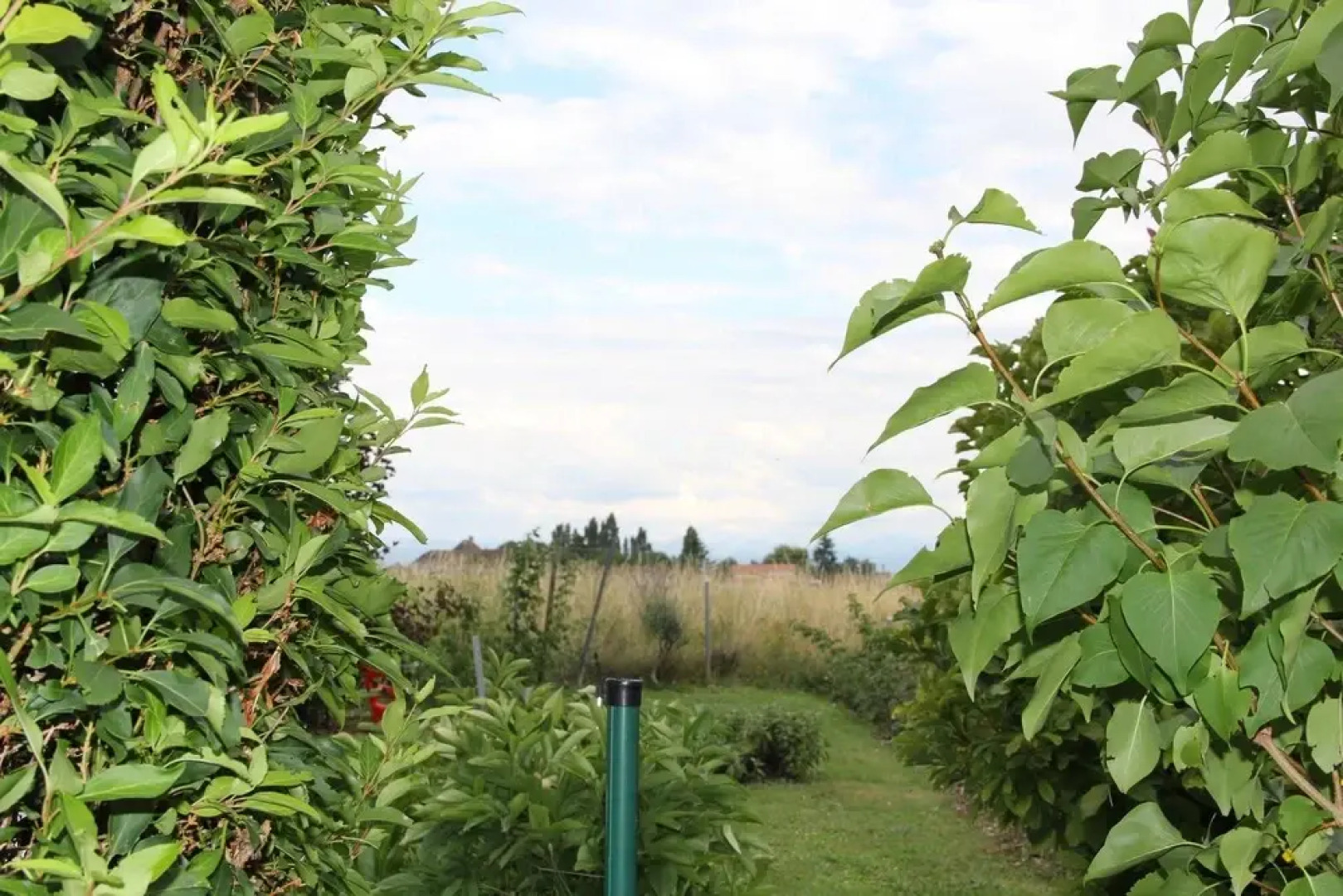 Studio in Bevaix, With Pool Access, Enclosed Garden and Wifi