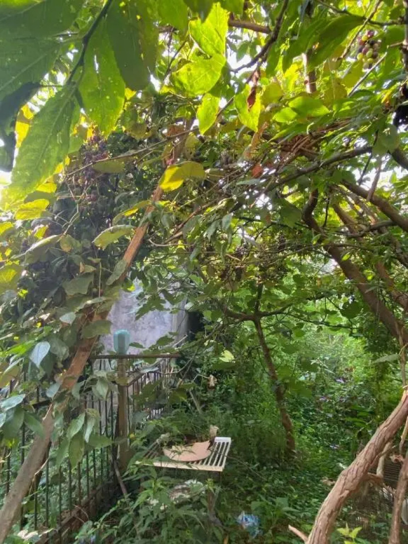 Black Sea Ochamchira