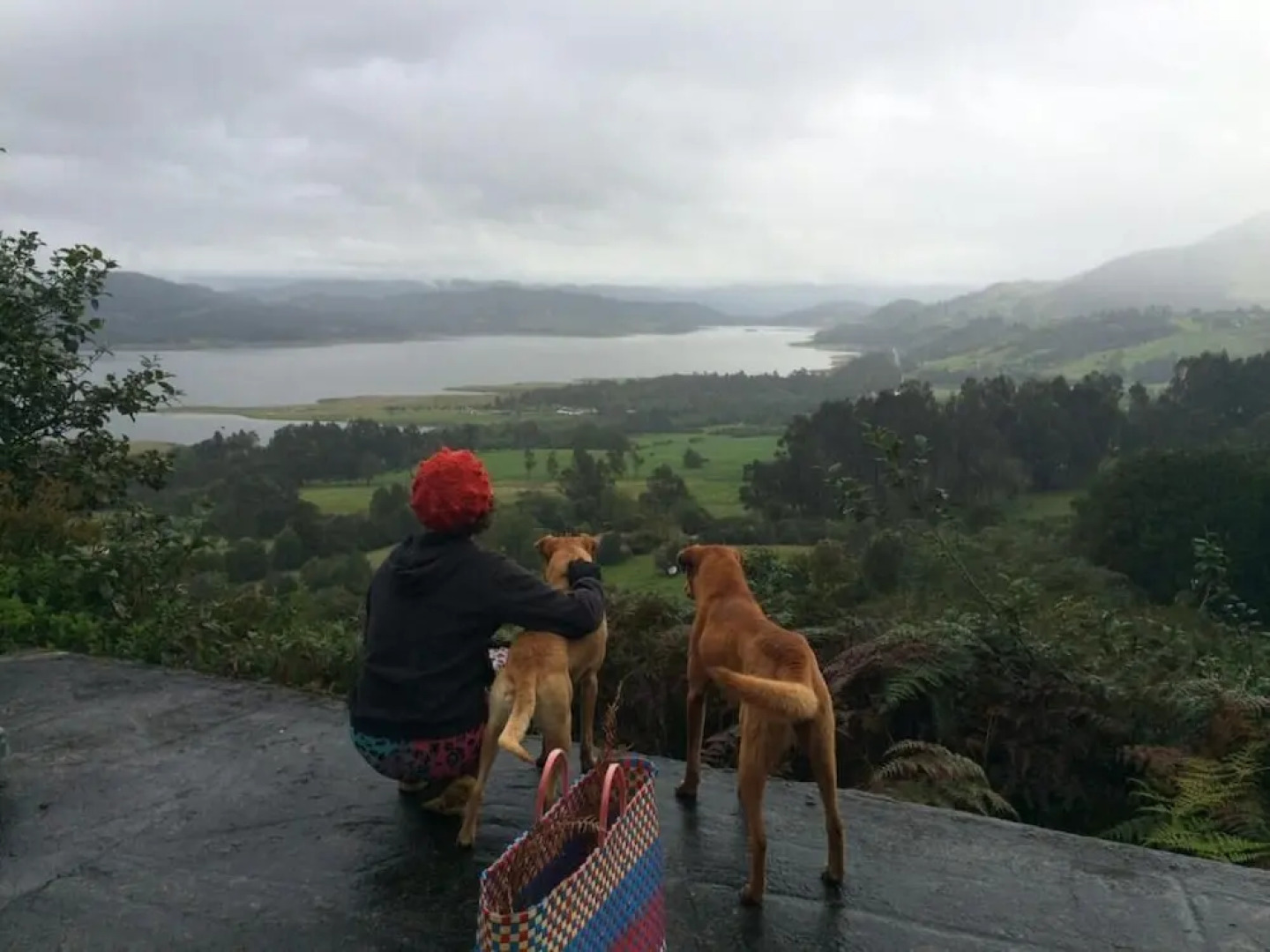 La Juanita Finca Verde