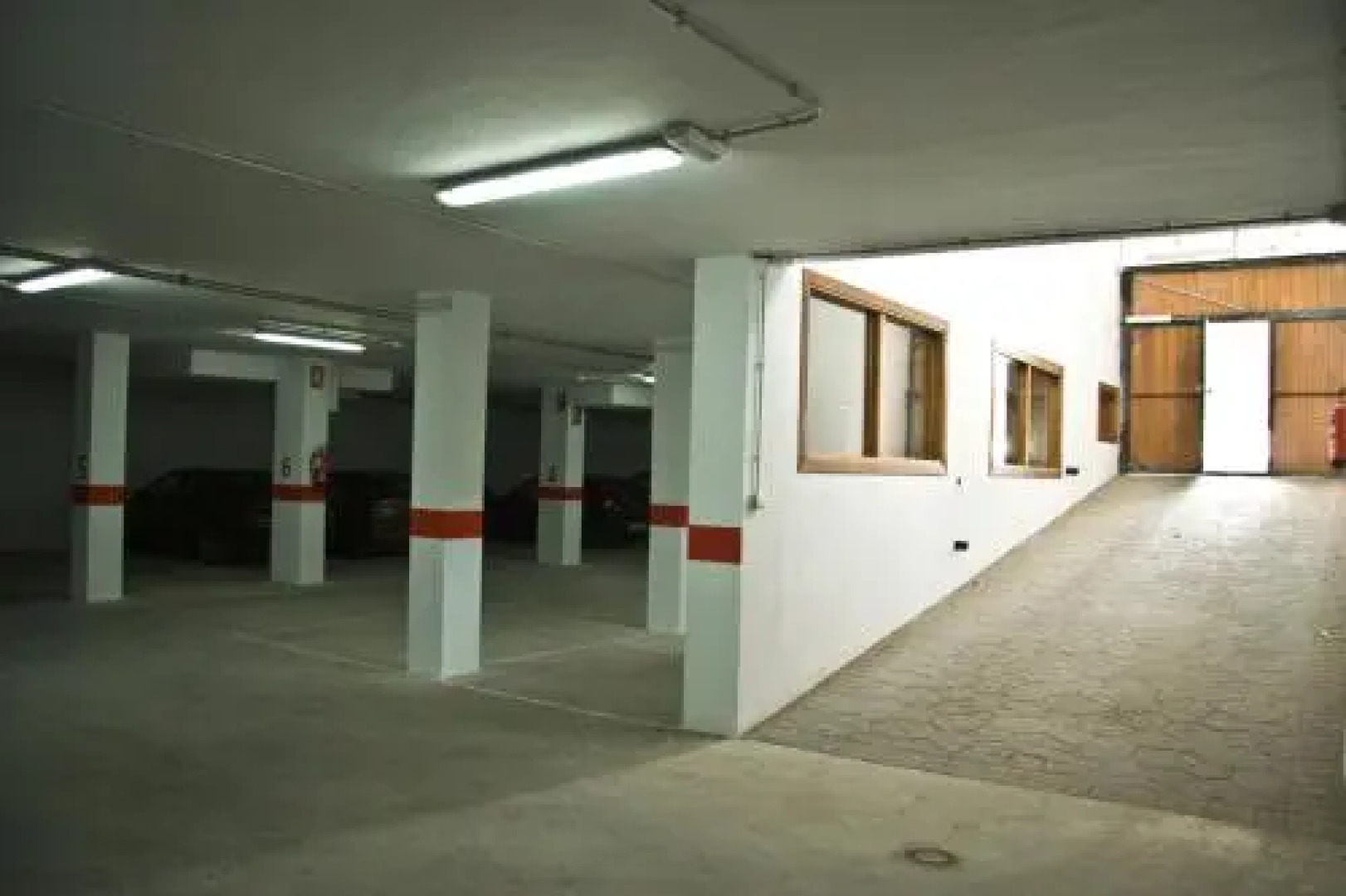 Estrella de las Nieves