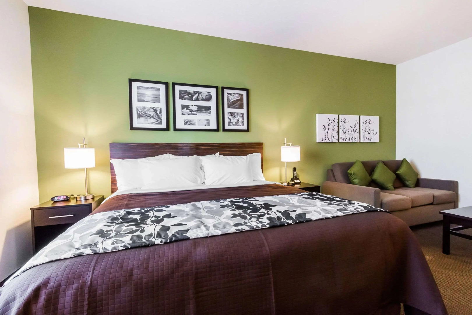 Sleep Inn & Suites Odessa near University