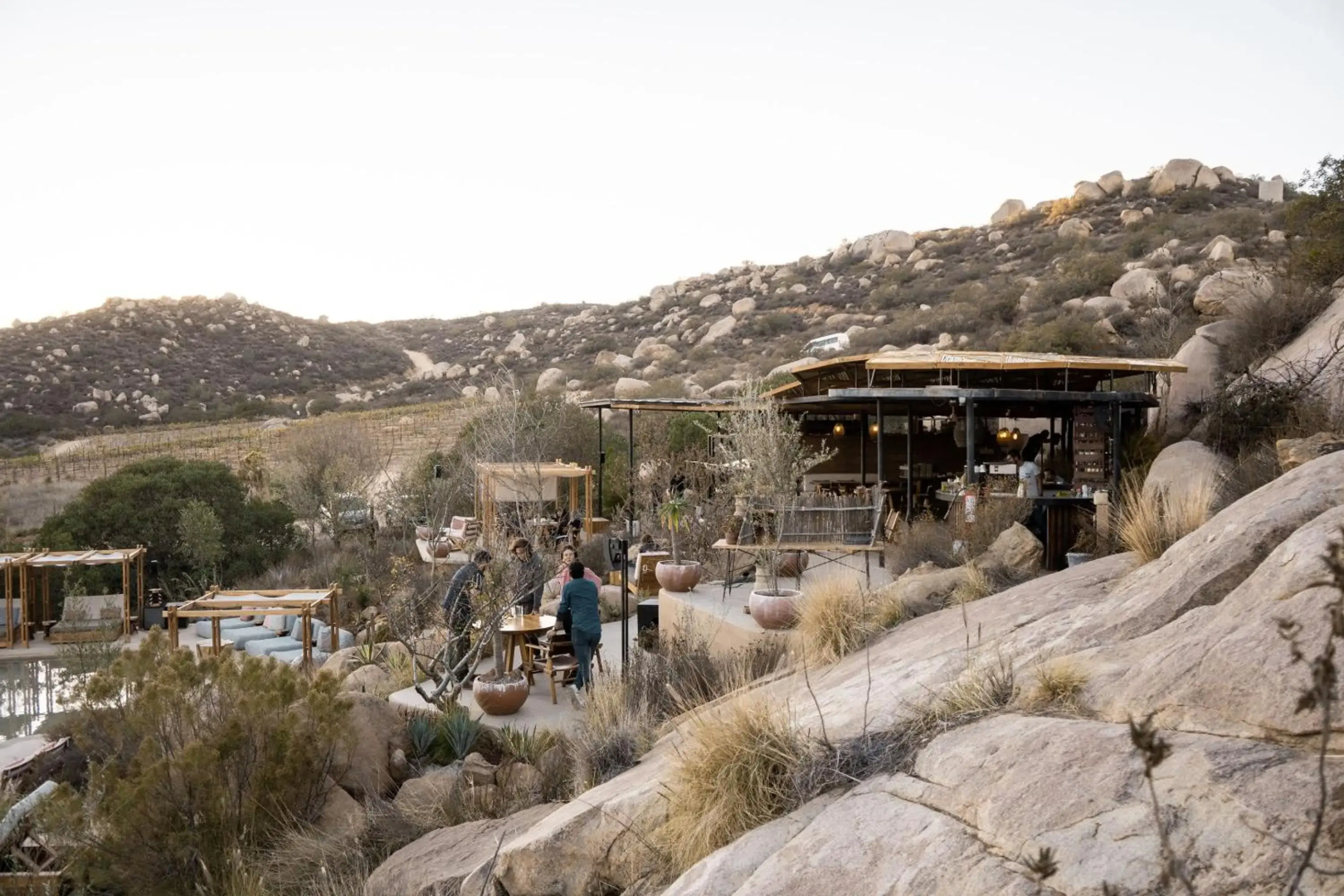 Encuentro Guadalupe