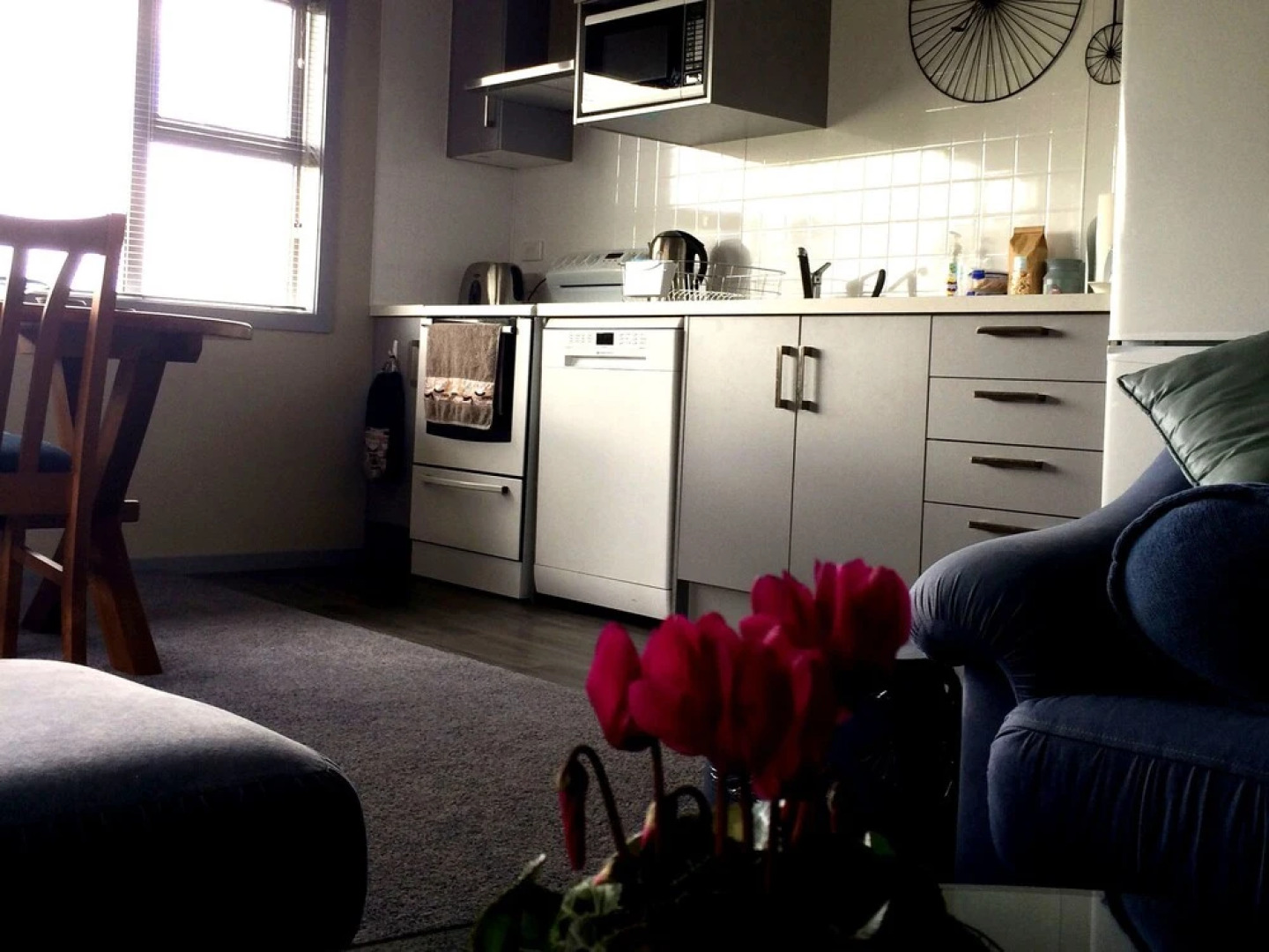 Willowbank Farm Cottage