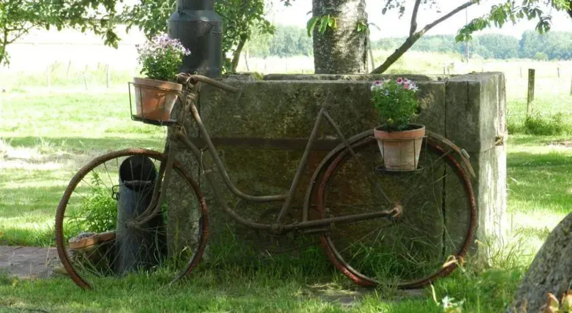 Bécassine et Ficelle