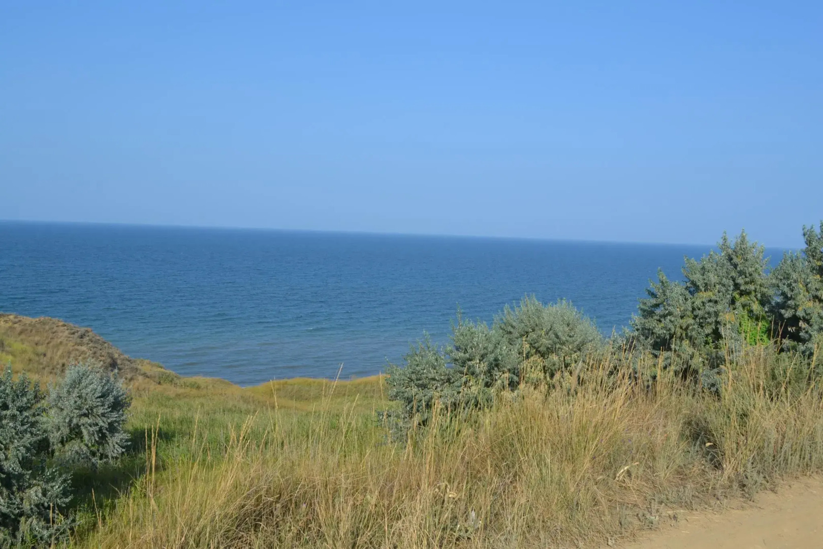 Лайнер