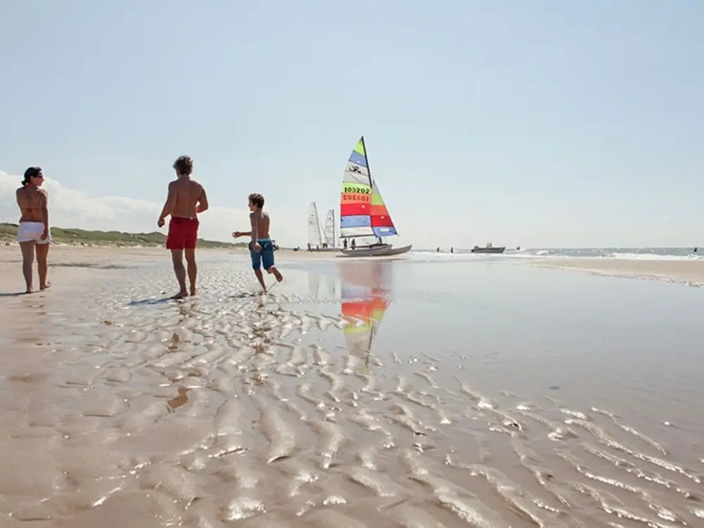 Cozy Cottage in Schoorl near Forest