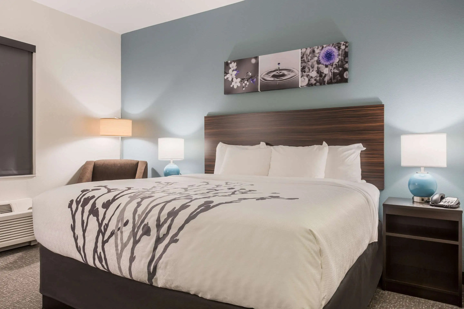 Sleep Inn & Suites Webb City