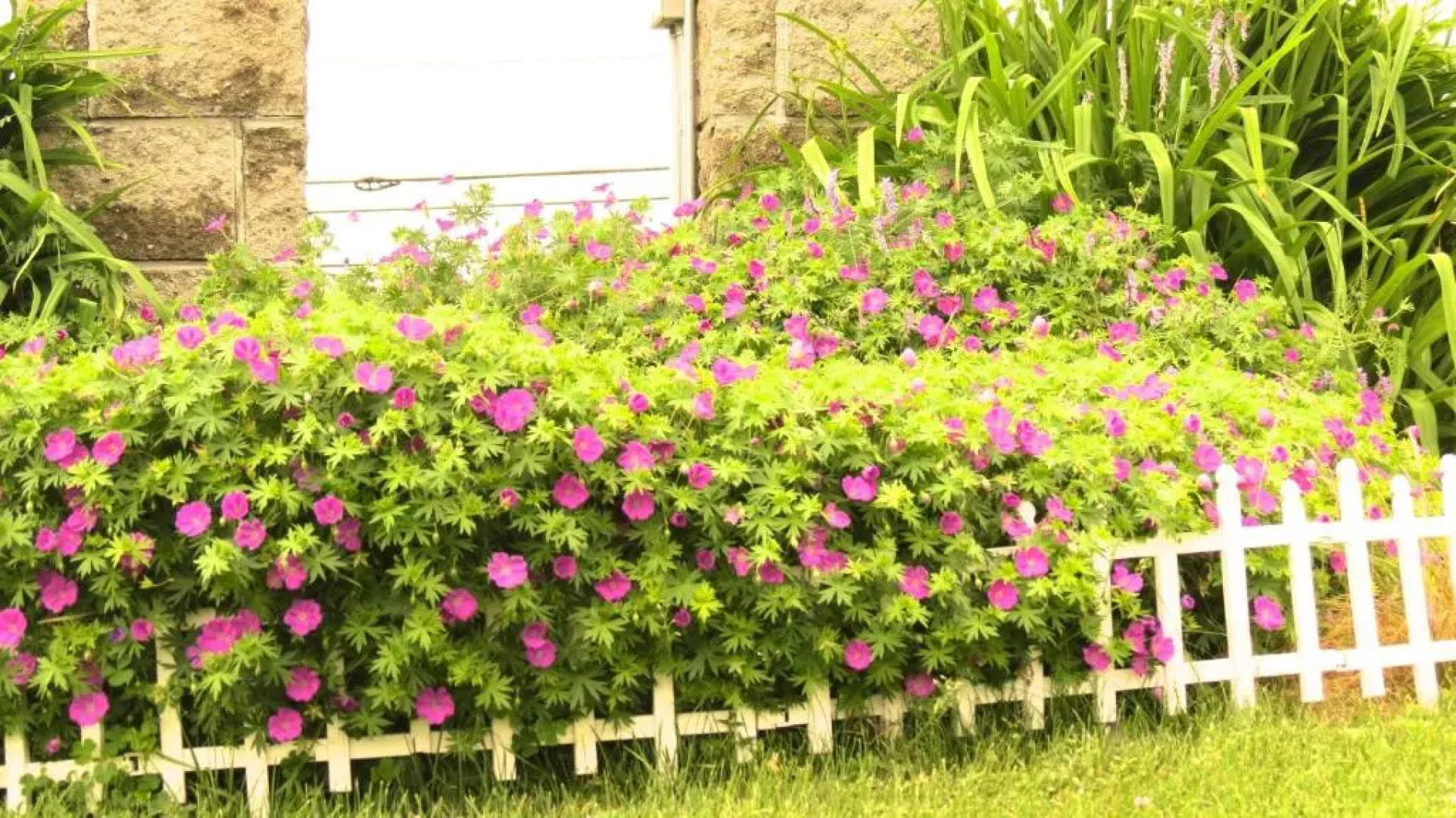 Budget Host Airport Inn