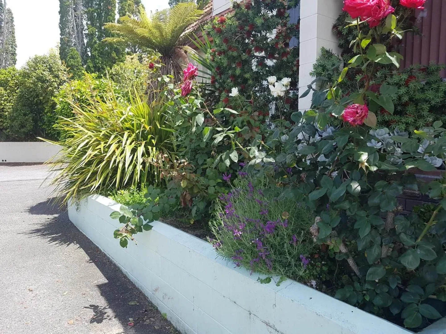 Putaruru Arms Motor Inn