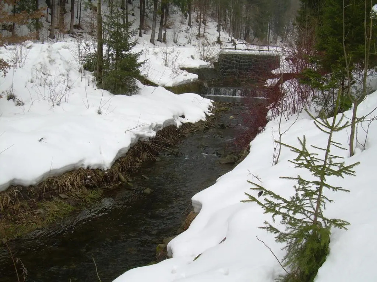 Wakacyjny Dom Dawidówka
