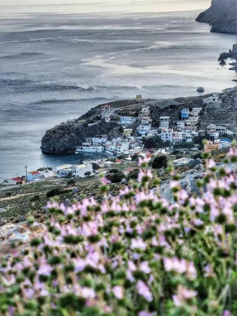 Coastline of Paradise